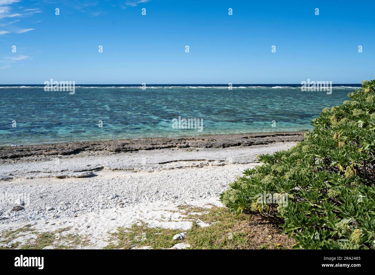 Barriera corallina a Lagoon Beach, Lady Elliot Island Eco Resort, Queensland, Australia Foto Stock