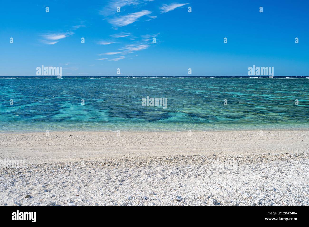 Barriera corallina a Lagoon Beach, Lady Elliot Island Eco Resort, Queensland, Australia Foto Stock