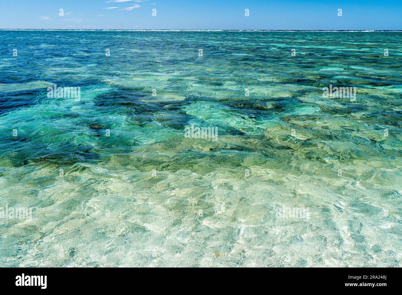 Barriera corallina a Lagoon Beach, Lady Elliot Island Eco Resort, Queensland, Australia Foto Stock