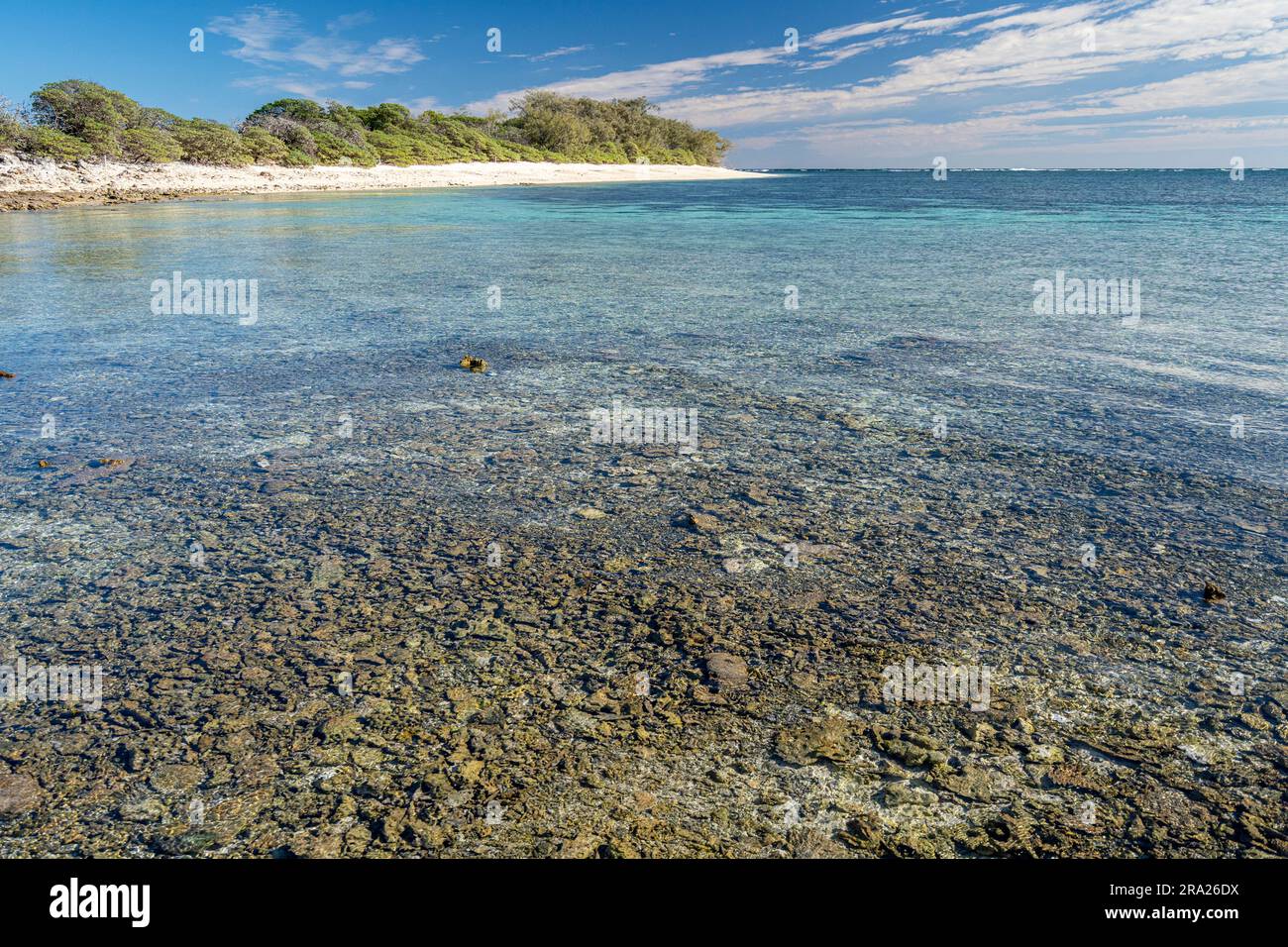 Laguna corallina che circonda Lady Elliot Island, grande Barriera Corallina, Queensland, Australia Foto Stock