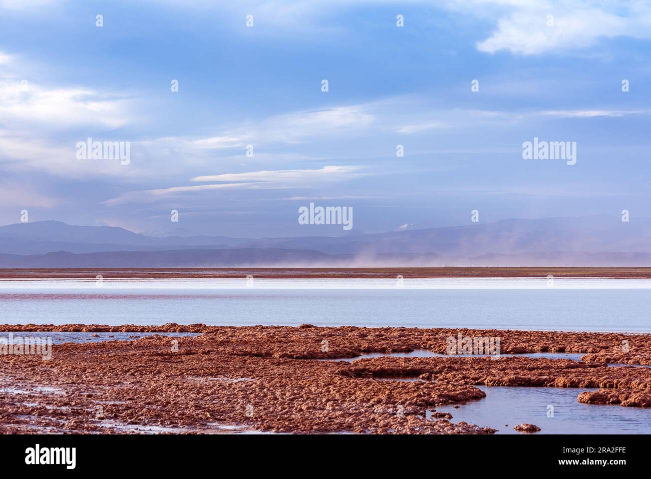 Riva della laguna di Tebinquiche nel deserto di Atacama Foto Stock