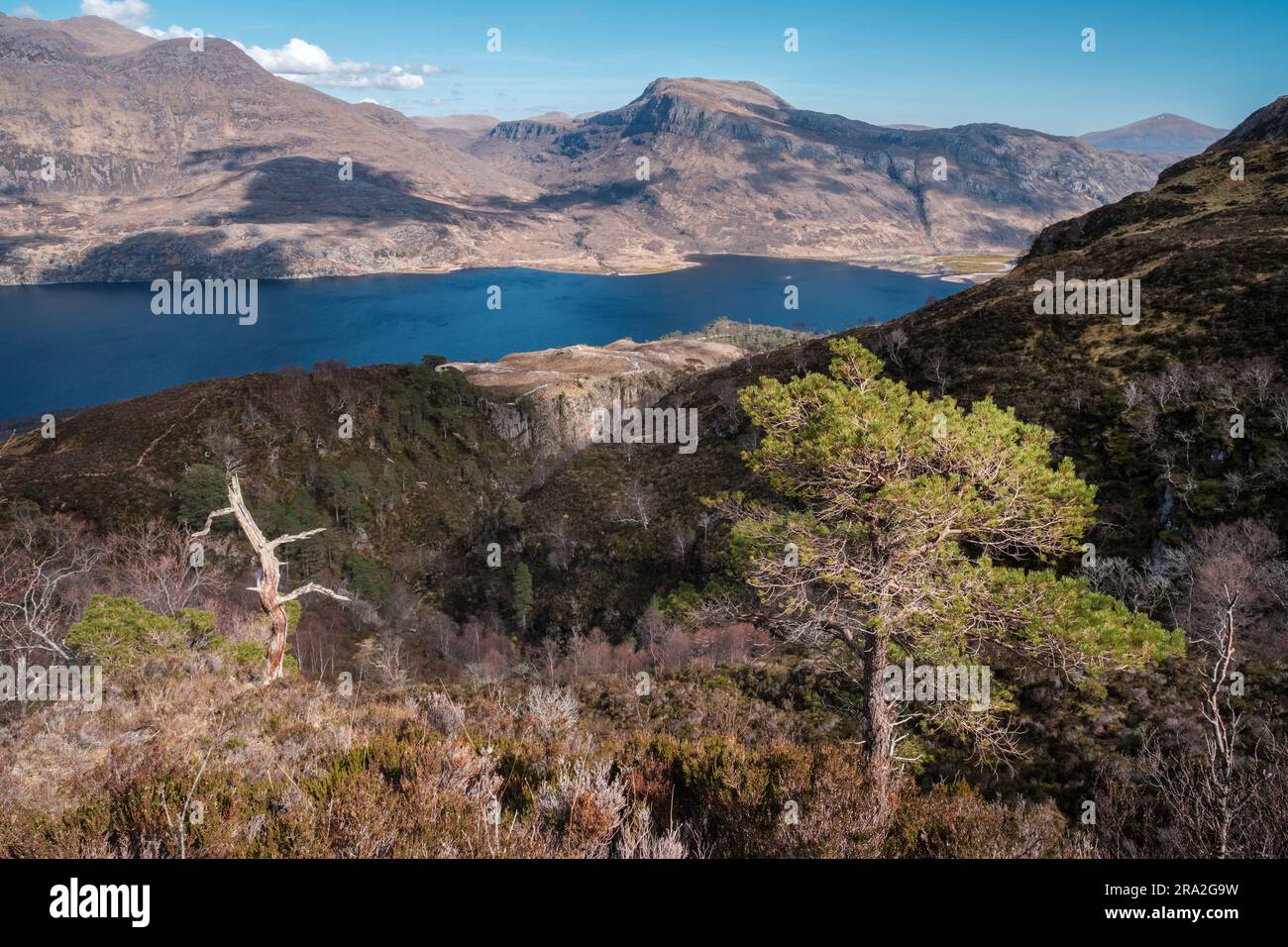 Loch Maree dalla riserva naturale nazionale di Beinn Eighe Foto Stock