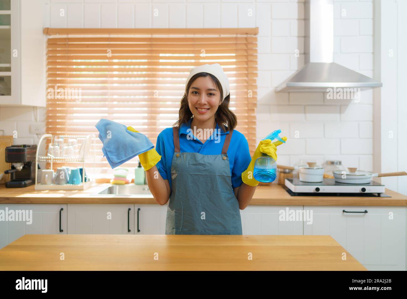 Efficiente e piena di risorse, una casalinga asiatica tiene con sicurezza una tovaglia e uno spruzzatore in cucina, mostrando la sua dedizione nel mantenere un cl Foto Stock