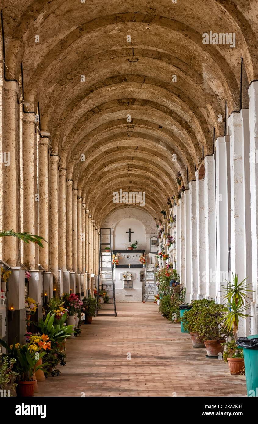 Ammira la navata del famoso cimitero sulla collina sopra Amalfi, Campania, italia Foto Stock