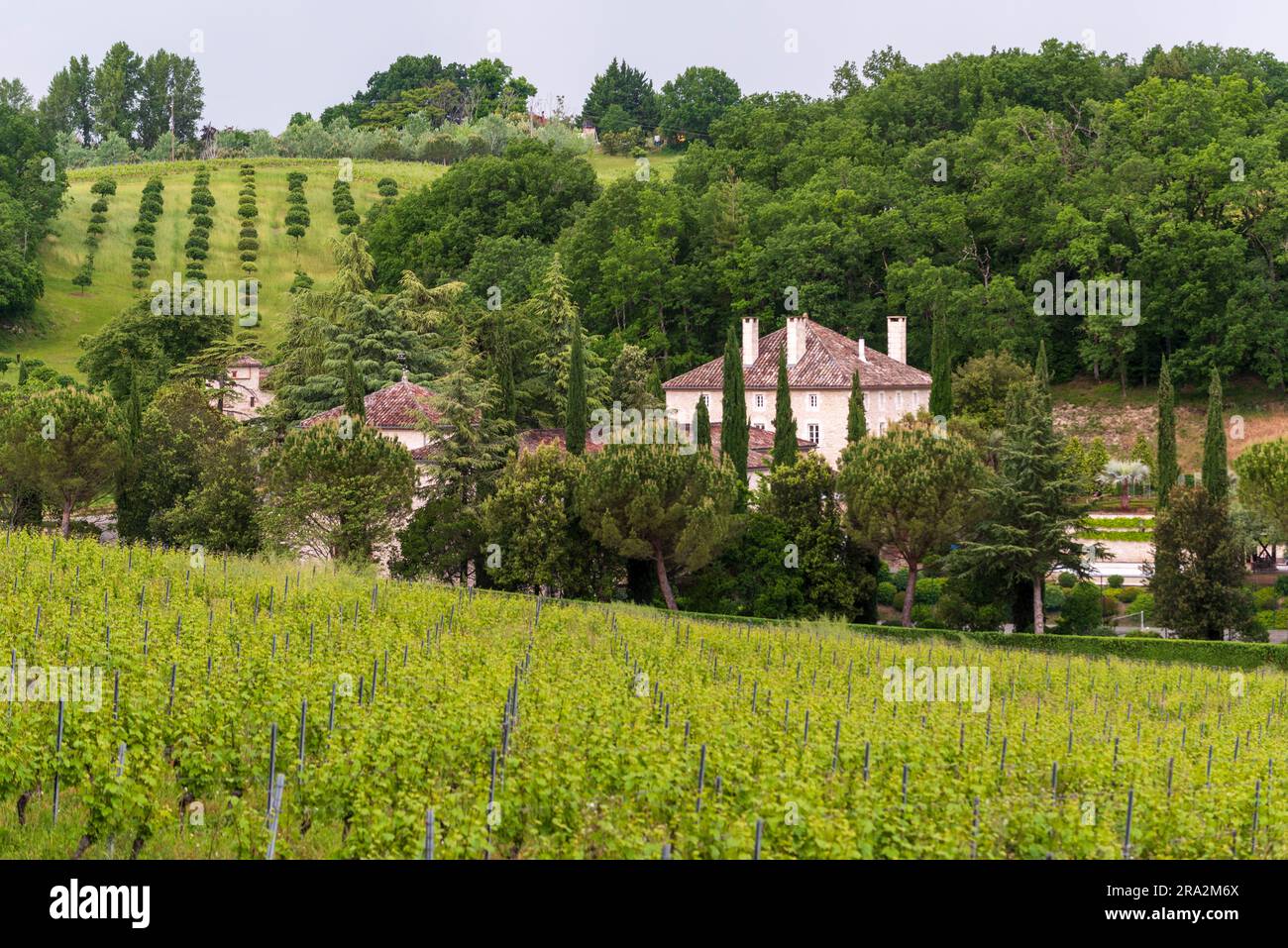 Francia, Tarn, Broze, vigneto Gaillacois, castello di Lecusse Foto Stock