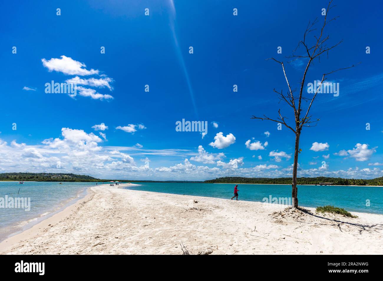 Brasile, Nordeste, Pernambuco, Isola di Coroa do Avião, sentiero di sabbia bianca Foto Stock