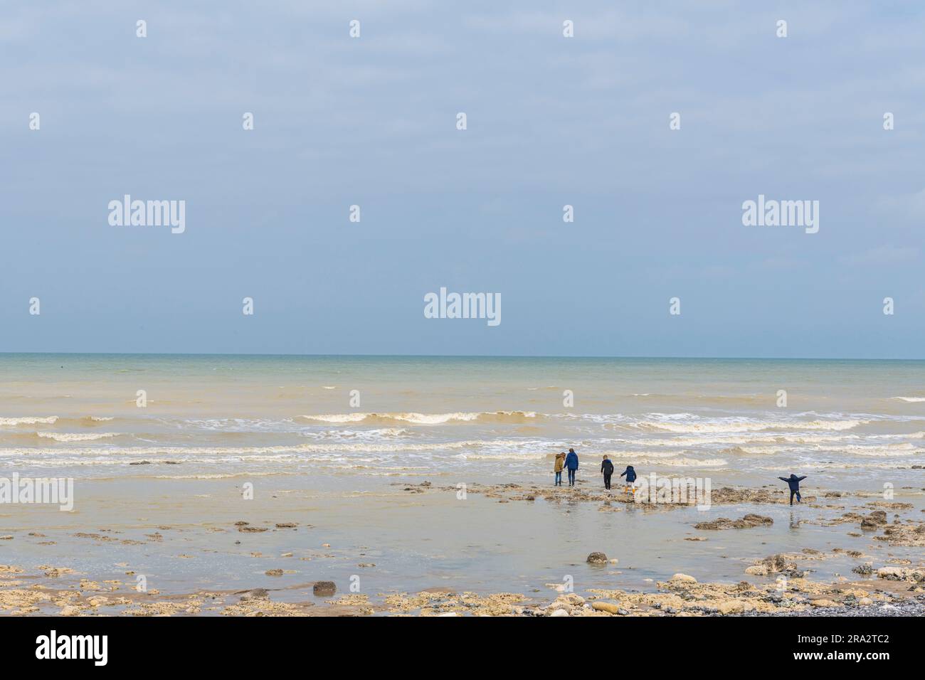 Francia, somme, Baie de somme, Ault, la pianura in fondo alle scogliere di Ault, un ambiente lunare di pietra calcarea e selce divorato dal mare Foto Stock