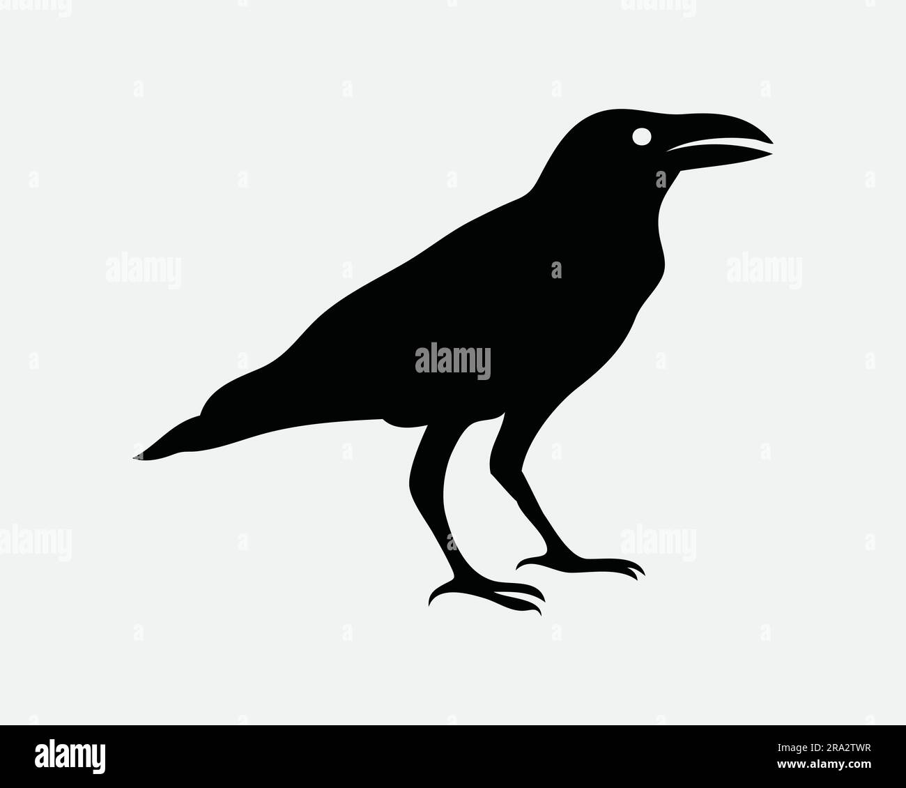 Icona corvo. Raven Wildlife Bird Animal Fly Stand SIT Nature Halloween Gothic. Silhouette in bianco e nero grafica Clipart simbolo EPS vettore Illustrazione Vettoriale