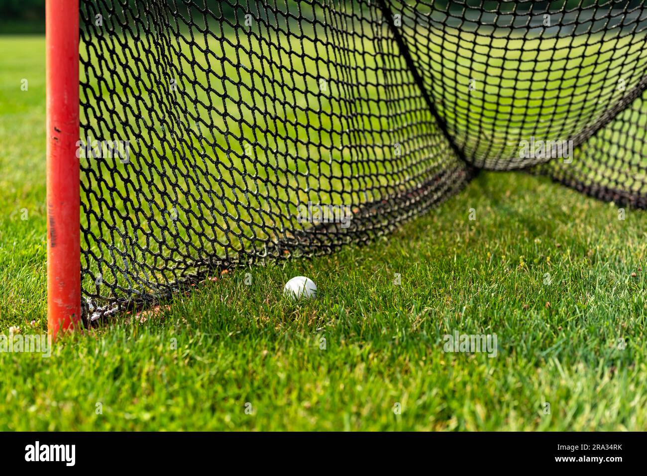 Foto pomeridiana di un obiettivo lacrosse con palla bianca su un campo in erba sintetica. Foto Stock