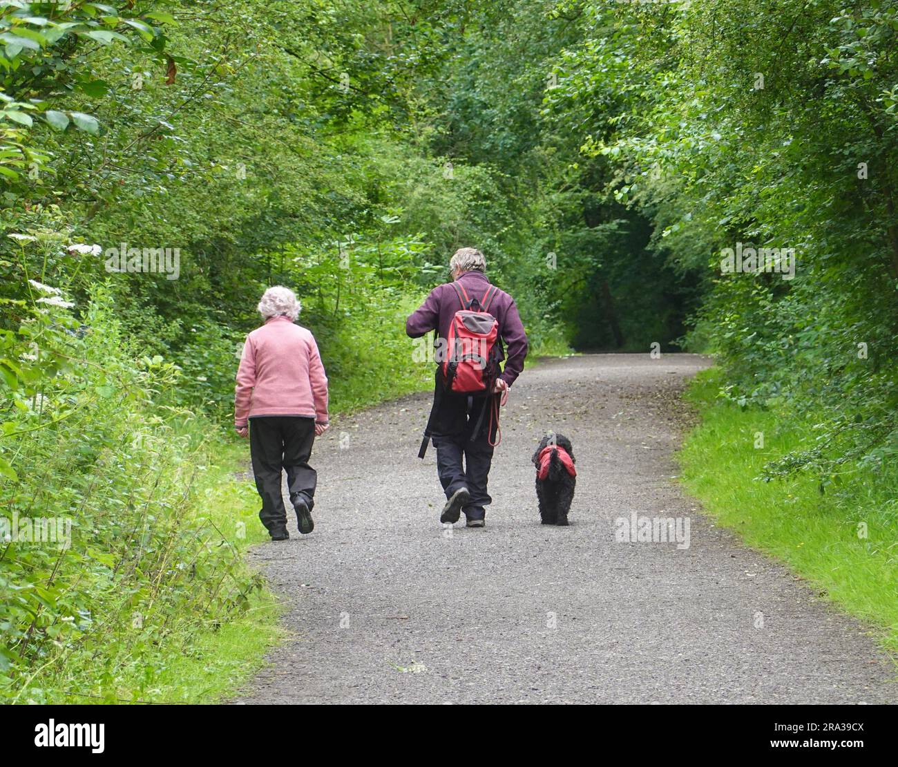 Due persone camminano con un cane lungo il Sett Valley Trail, Derbyshire Foto Stock
