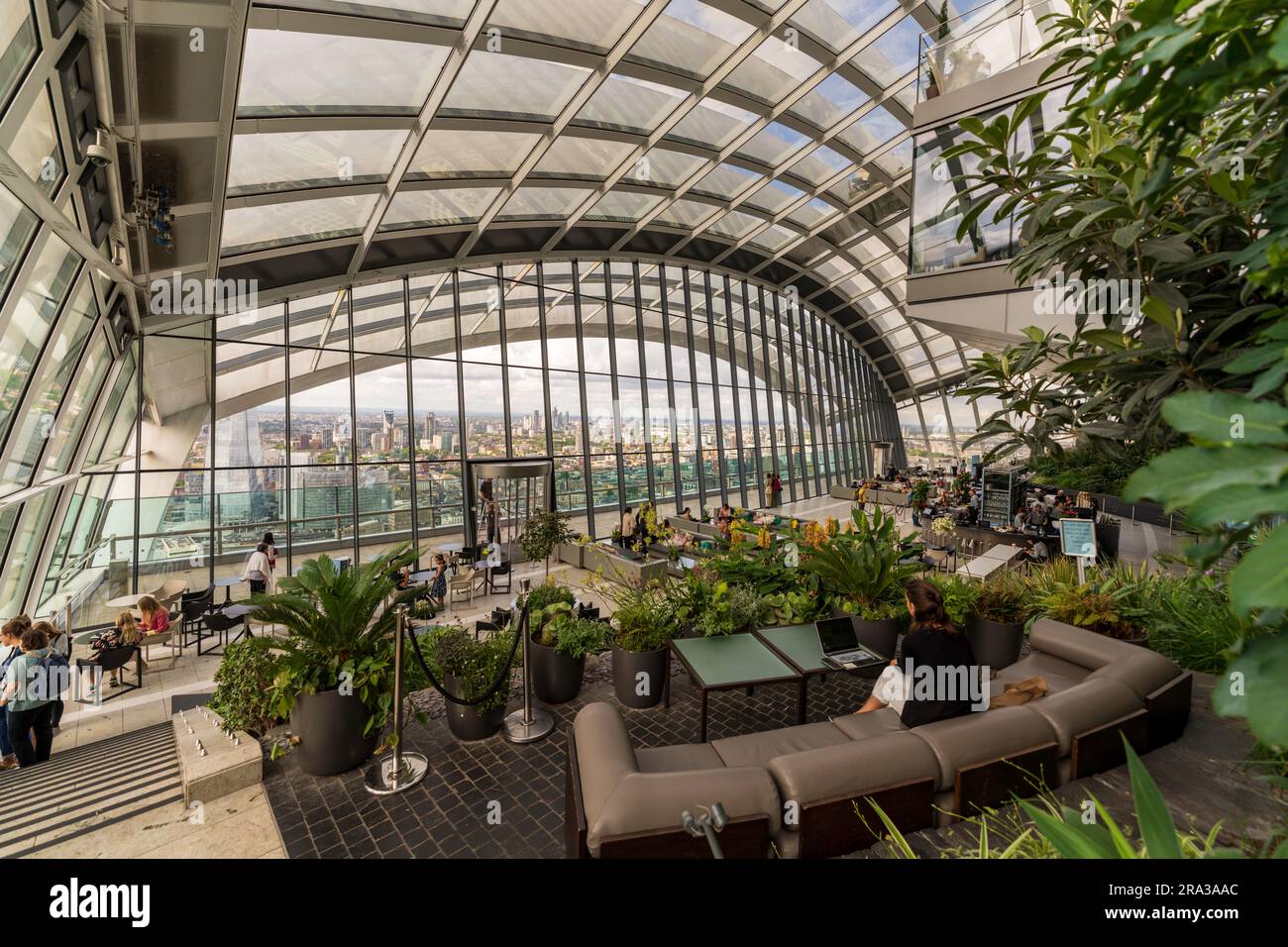 Lavoratore remoto allo Sky Garden, l'edificio Walkie Talkie al 20 di Fenchurch. È il giardino pubblico più alto di Londra, con vista a 360 gradi della città. Foto Stock