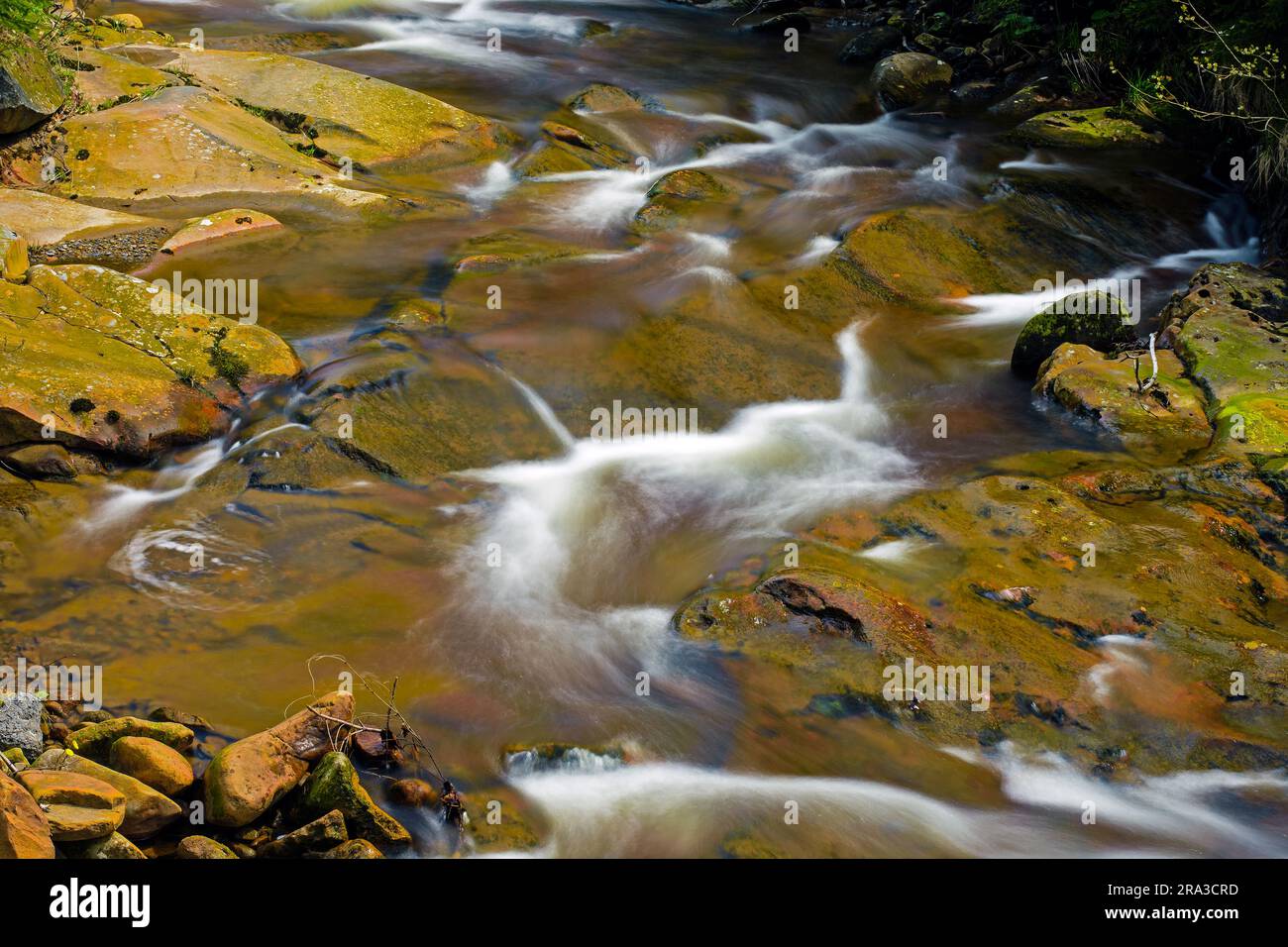 Czarna Wiselka creek nel Parco paesaggistico Slesiano Beskids, Repubblica di Polonia. Foto Stock