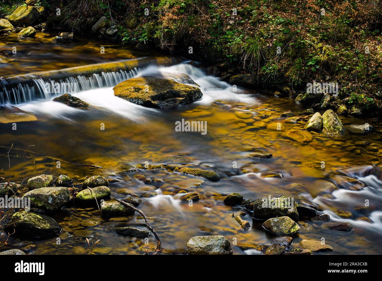Czarna Wiselka creek nel Parco paesaggistico Slesiano Beskids, Repubblica di Polonia. Foto Stock