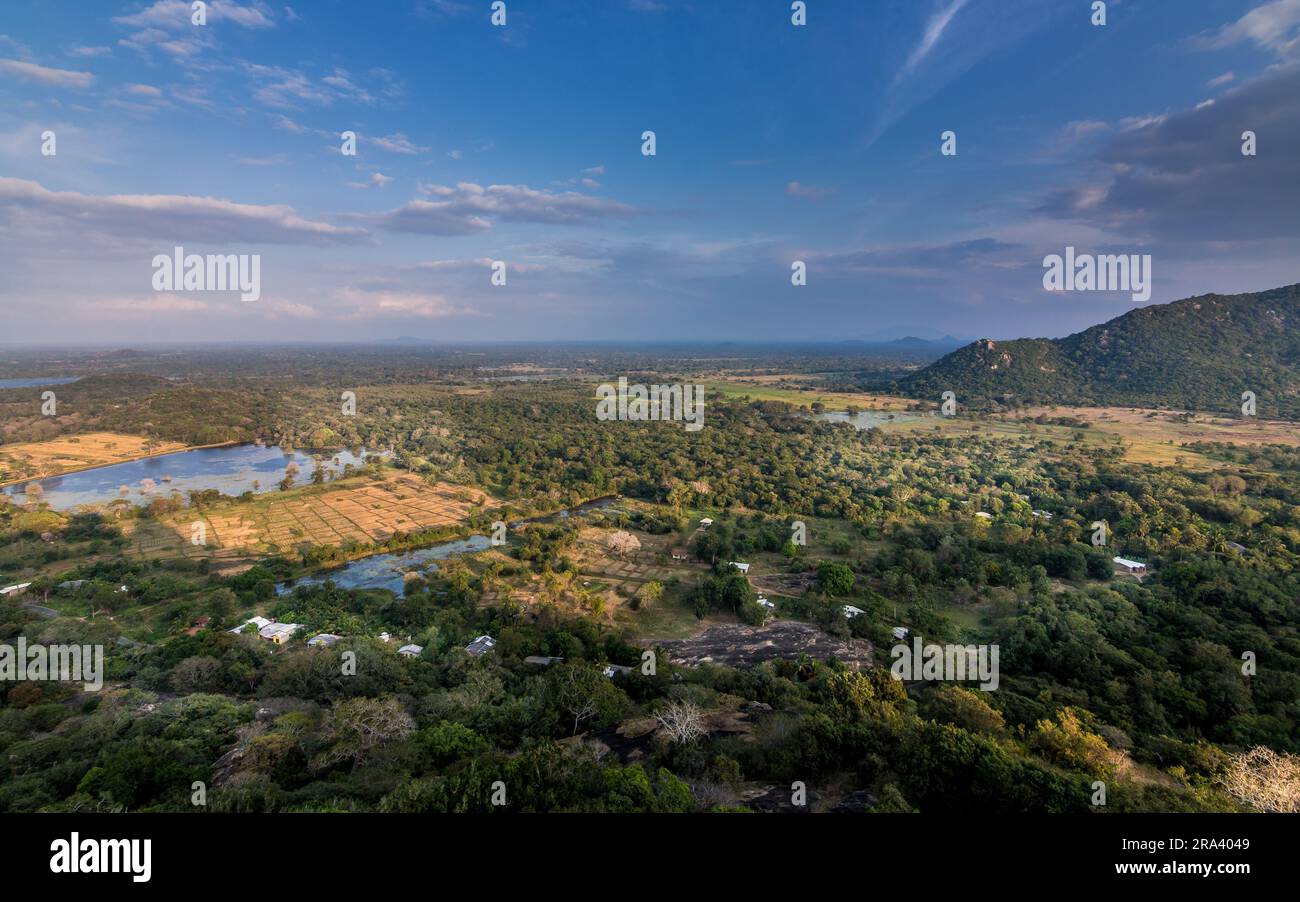 Una vista aerea di un paesaggio di campagna, che mostra lussureggianti campi verdi, alberi e colline ondulate Foto Stock