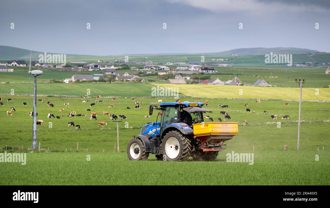 Agricoltore che applica fertilizzante in un campo delle Orcadi utilizzando un New Holland T6.145 e uno spanditore Teagle. Scozia, Regno Unito. Foto Stock