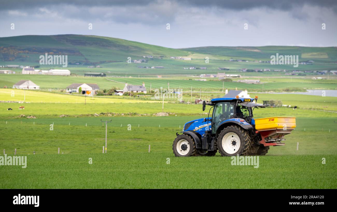Agricoltore che applica fertilizzante in un campo delle Orcadi utilizzando un New Holland T6.145 e uno spanditore Teagle. Scozia, Regno Unito. Foto Stock