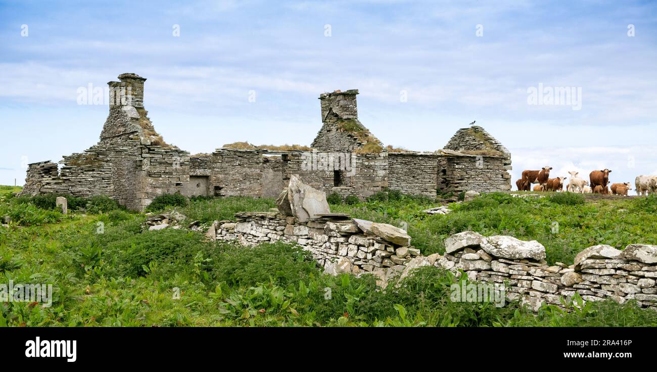 Rovine di un vecchio cottage di crofters sulle isole Orcadi, Scozia, Regno Unito. Foto Stock