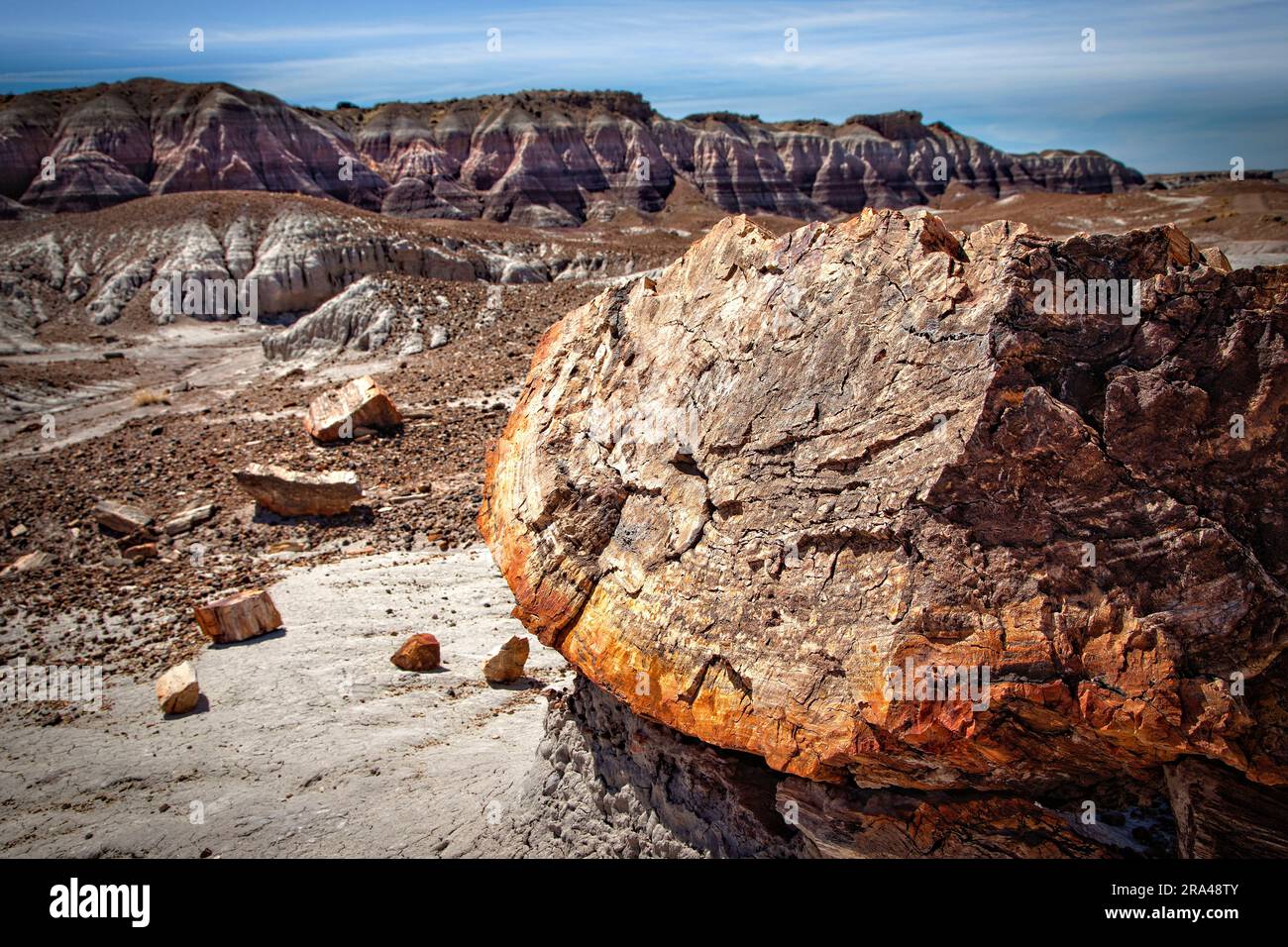 Gli alberi pietrificati sono sparsi nell'area di superficie del Petrified Forest National Park dell'Arizona. Foto Stock