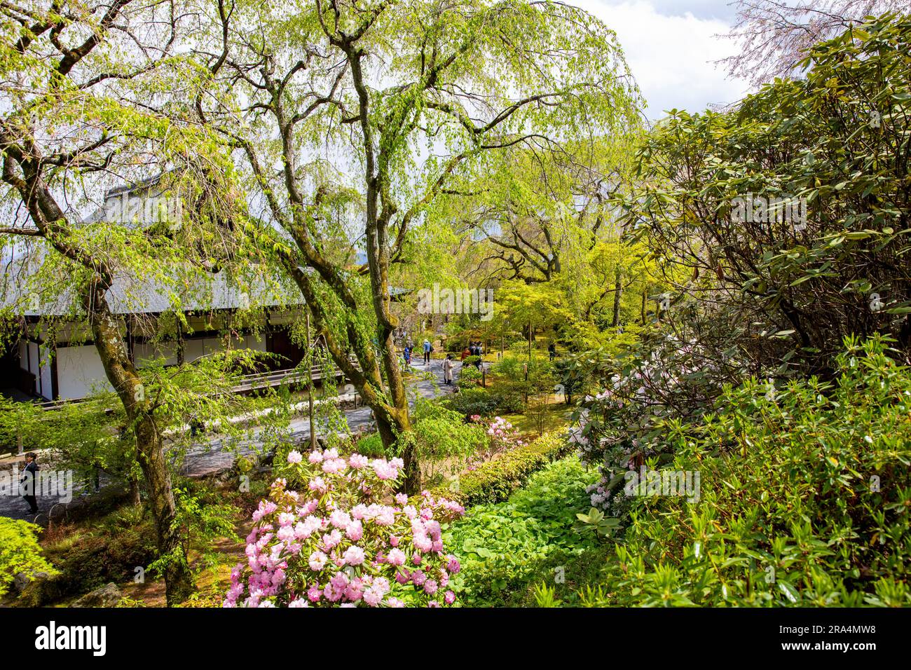 Tenryu - ji Temple Grounds, Kyoto, Giappone, 2023 e il suo famoso giardino zen panoramico, clima primaverile, Giappone, Asia, 2023 Foto Stock