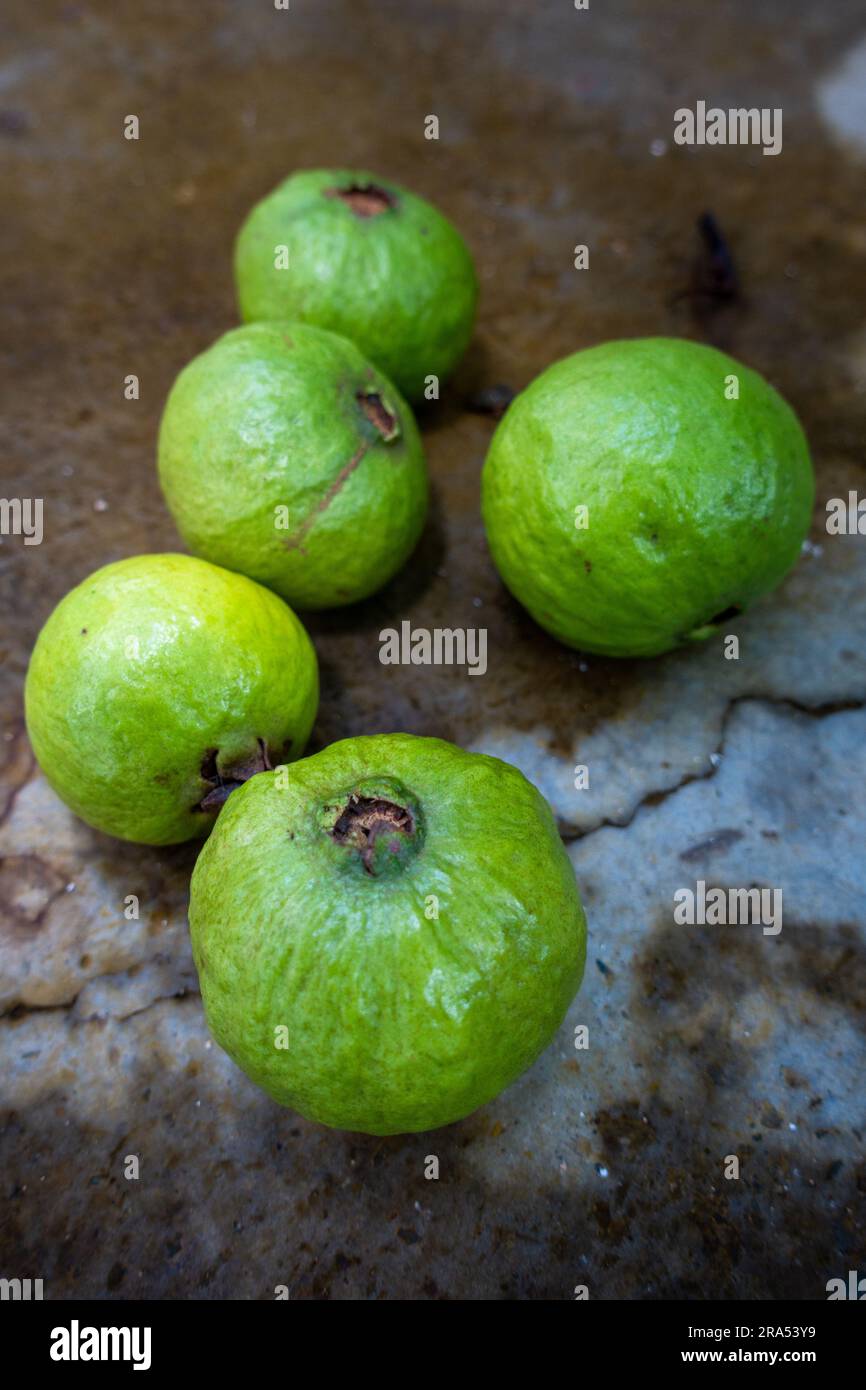 Guava verde raccolta frutta intera in terra. Indian Organic Farms. Foto Stock