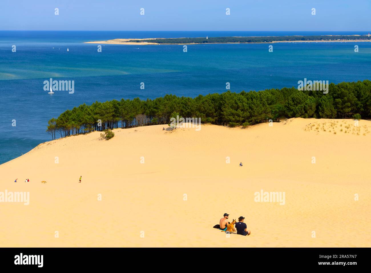 Duna di Pilat (Dune du Pilat), Francia. La grande Dune du Pilat è la duna di sabbia più alta d'Europa. Si trova a la teste-de-Buch nell'Arcachon Foto Stock