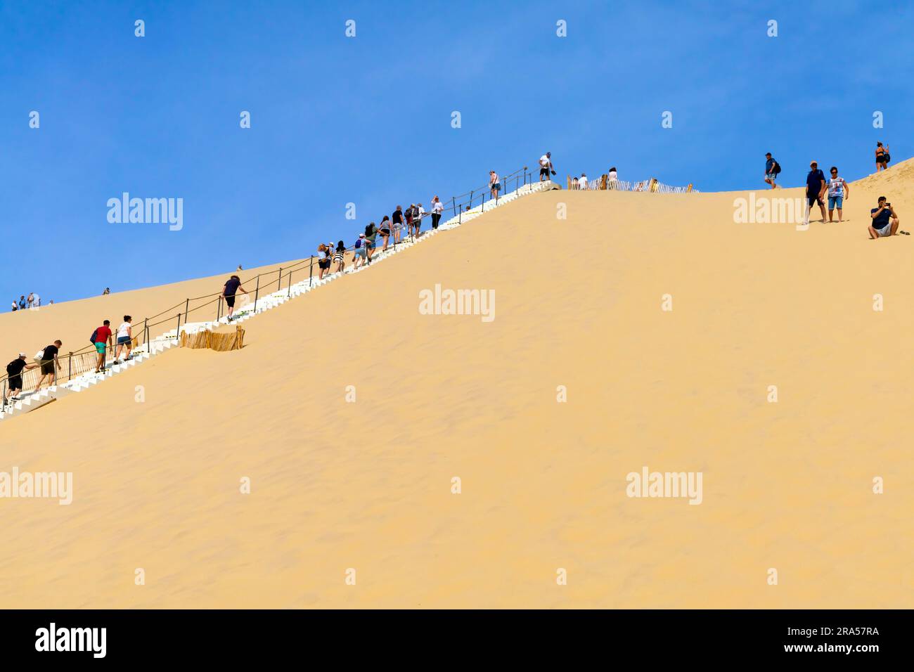 Duna di Pilat (Dune du Pilat), Francia. La grande Dune du Pilat è la duna di sabbia più alta d'Europa. Si trova a la teste-de-Buch nell'Arcachon Foto Stock