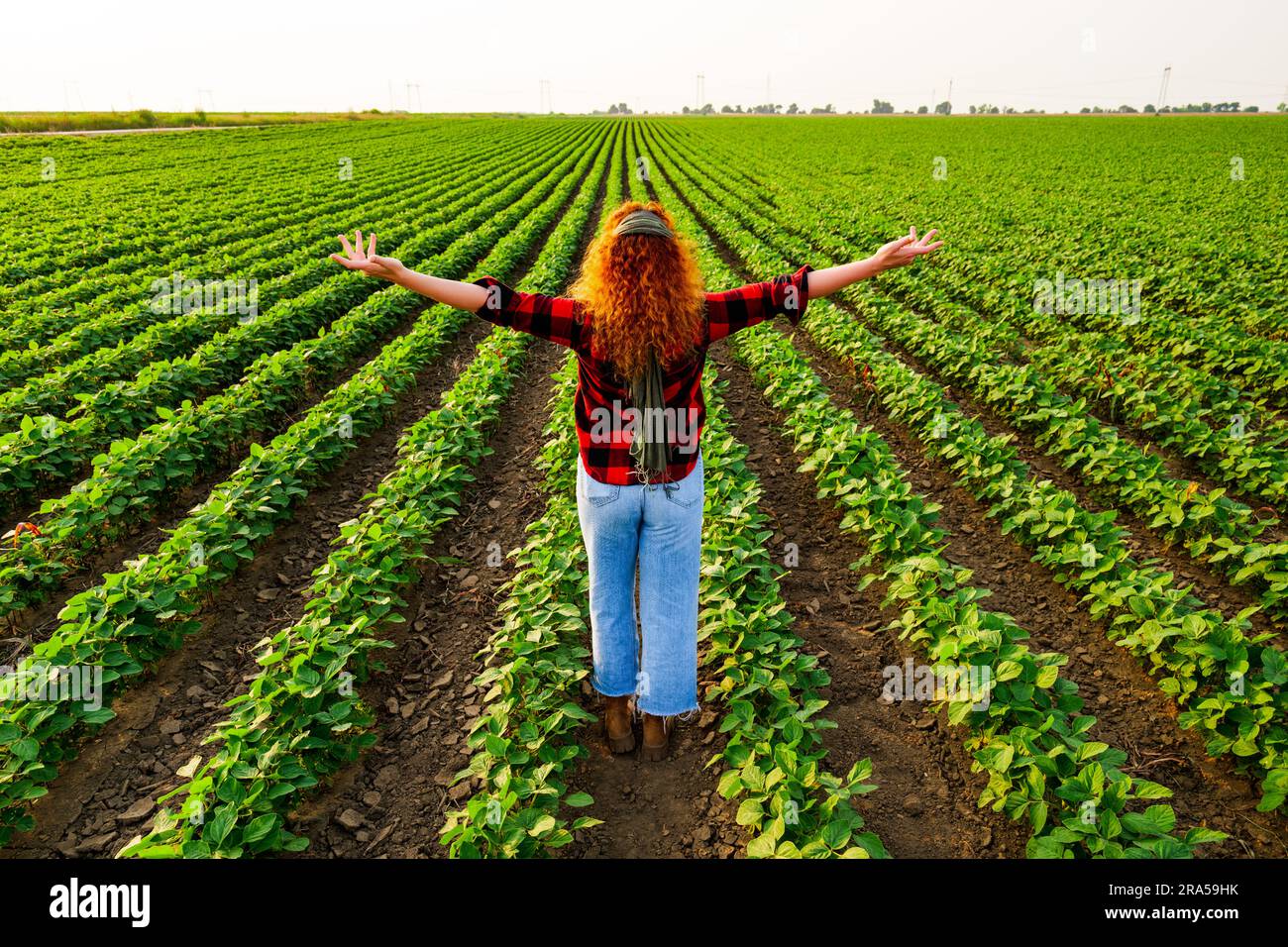 Una donna coltivatrice sta coltivando soia. È soddisfatta dei buoni progressi delle piante. Occupazione agricola. Foto Stock