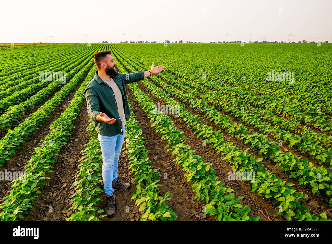 Ritratto di un agricoltore che sta coltivando soia. È soddisfatto dei buoni progressi delle piante. Occupazione agricola. Foto Stock