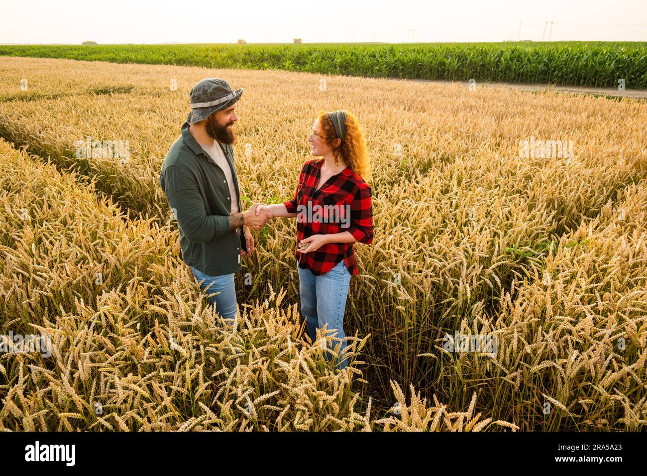 Uomo e donna coltivano grano in collaborazione. Sono soddisfatti del buon progresso delle piante. Foto Stock