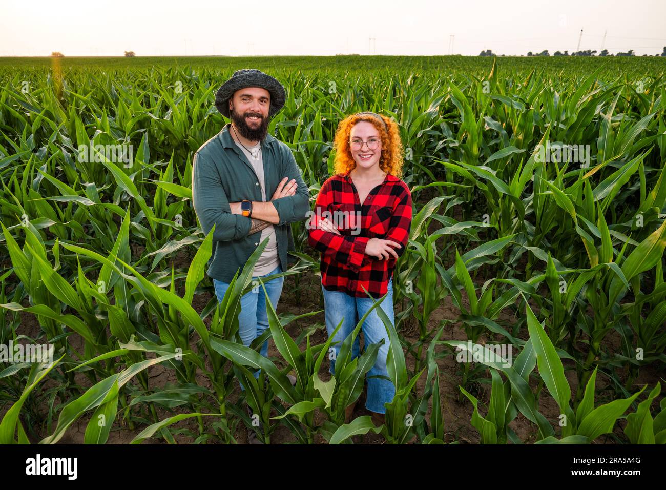 Occupazione agricola familiare. Uomo e donna coltivano mais. Sono soddisfatti del buon progresso delle piante. Foto Stock