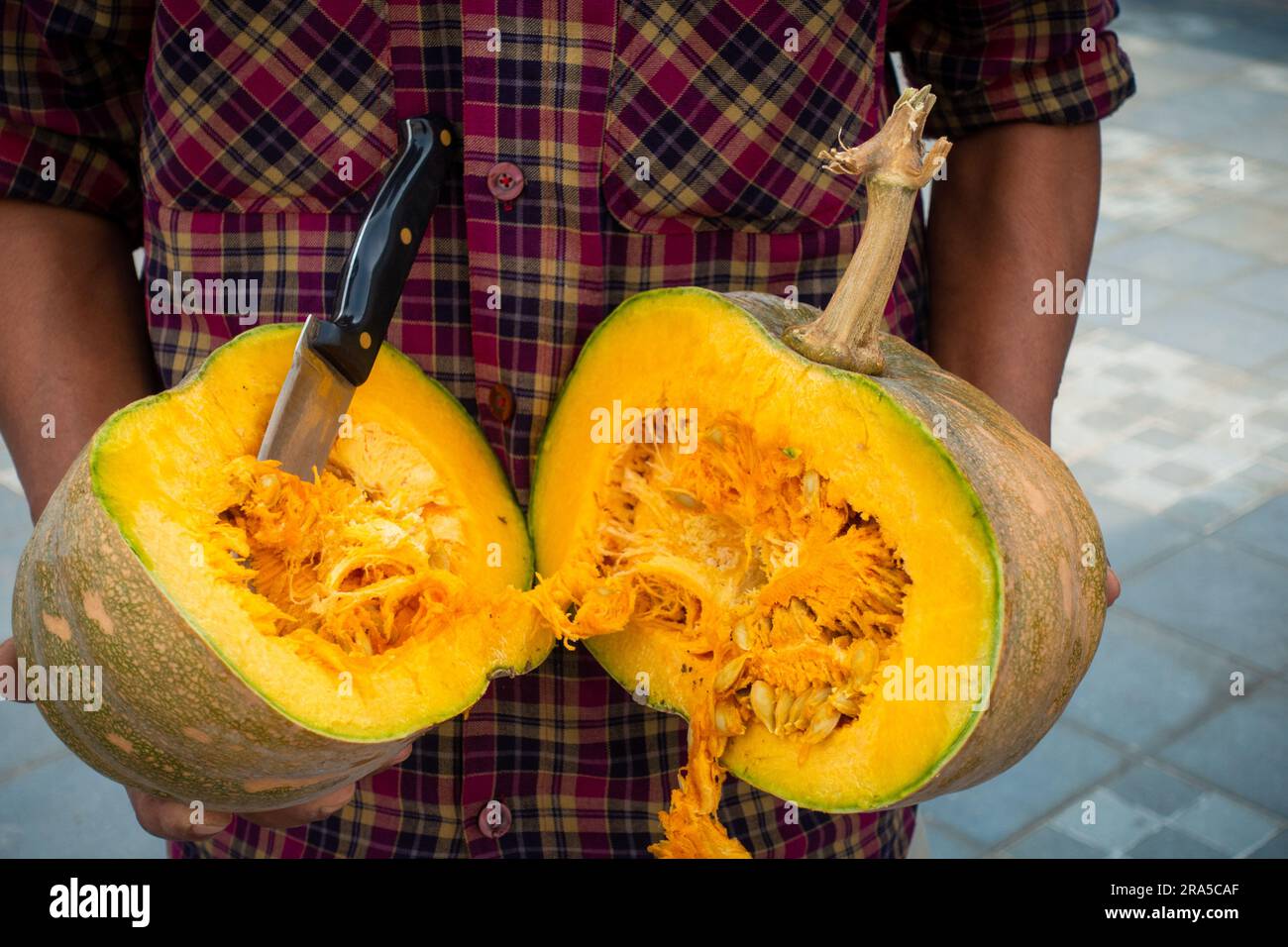 Mani che tengono la zucca con il ceppo di vite in due metà con polpa interna esposta. India Foto Stock