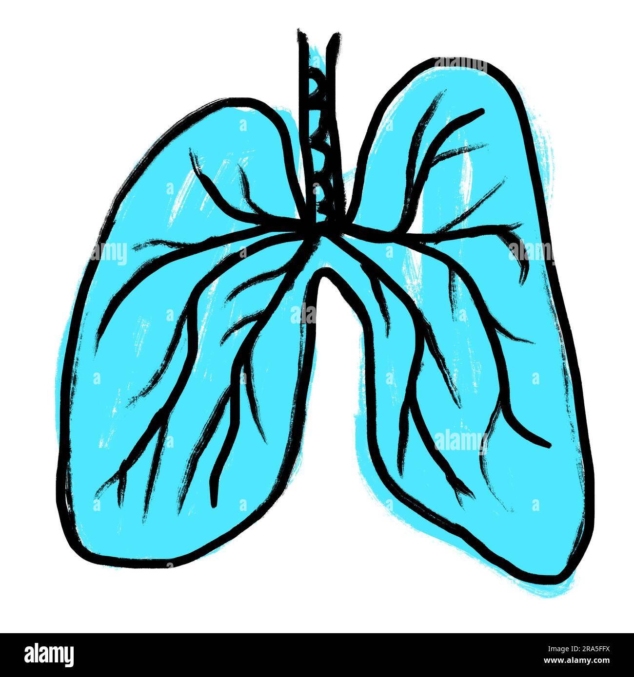 Illustrazione a mano di polmoni turchesi blu. Disegno di medicina medica schizzo, anatomia corpo organo, concetto di biologia respiratoria, scienza arte scientifica, isolato su bianco Foto Stock