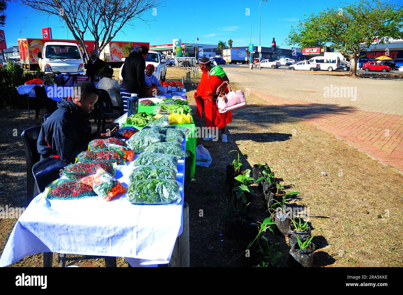 Agricoltori biologici nella provincia di Limpopo il giorno del mercato Foto Stock