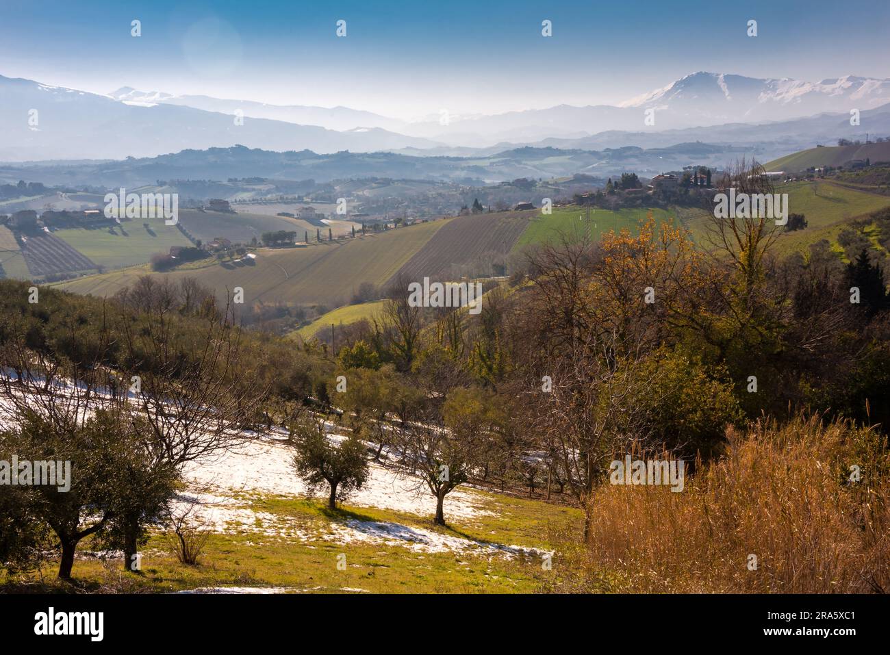 Campi agricoli e terreni coltivati tra colline Foto Stock