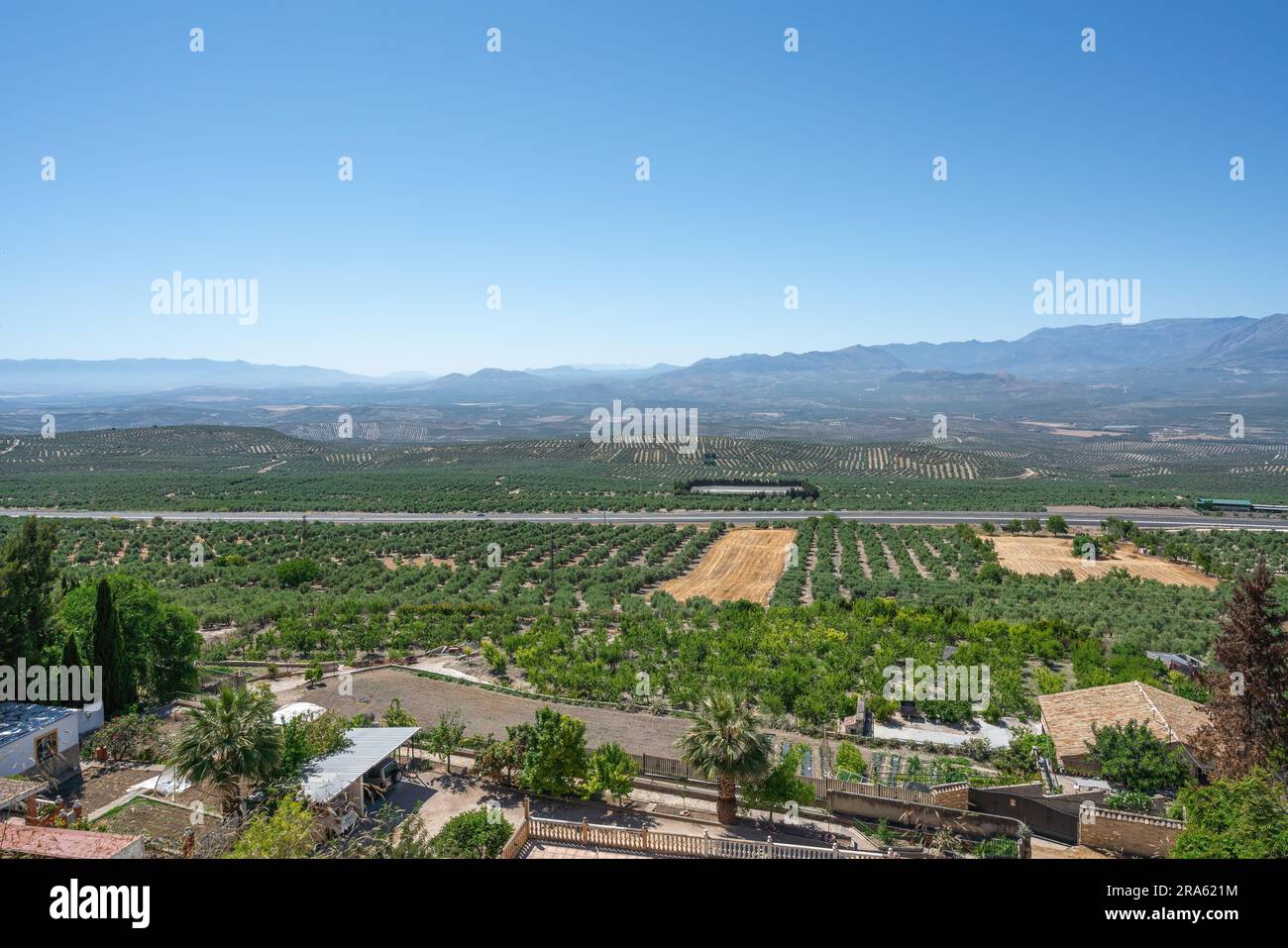Guadalquivir Valley, Olive Groves e Sierra Magina Mountains - Baeza, Jaen, Spagna Foto Stock