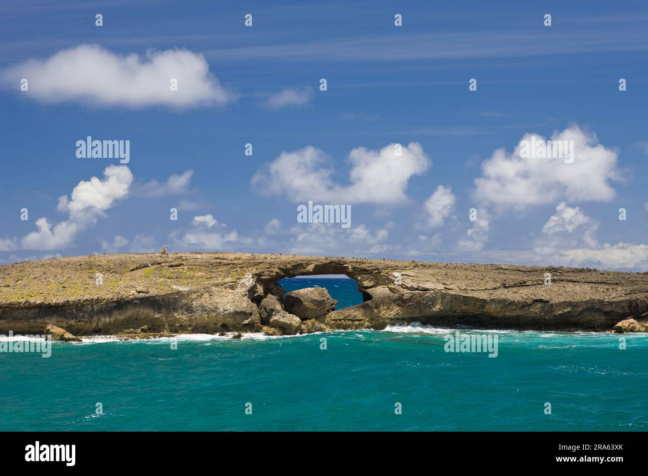 Rocce in surf, a Kahuku Makahoa Point, Oahu, Hawaii, o'ahu, USA Foto Stock