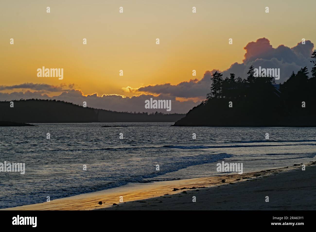 Spiaggia di sabbia deserta al tramonto, foresta, vacanza, Mackenzie Beach, Tofino, Vancouver Island, British Columbia, Canada, Nord America Foto Stock