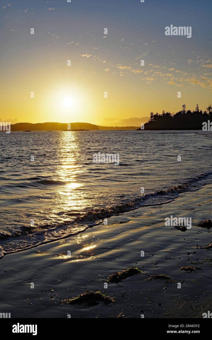 Spiaggia di sabbia deserta al tramonto, foresta, vacanza, Mackenzie Beach, Tofino, Vancouver Island, British Columbia, Canada, Nord America Foto Stock