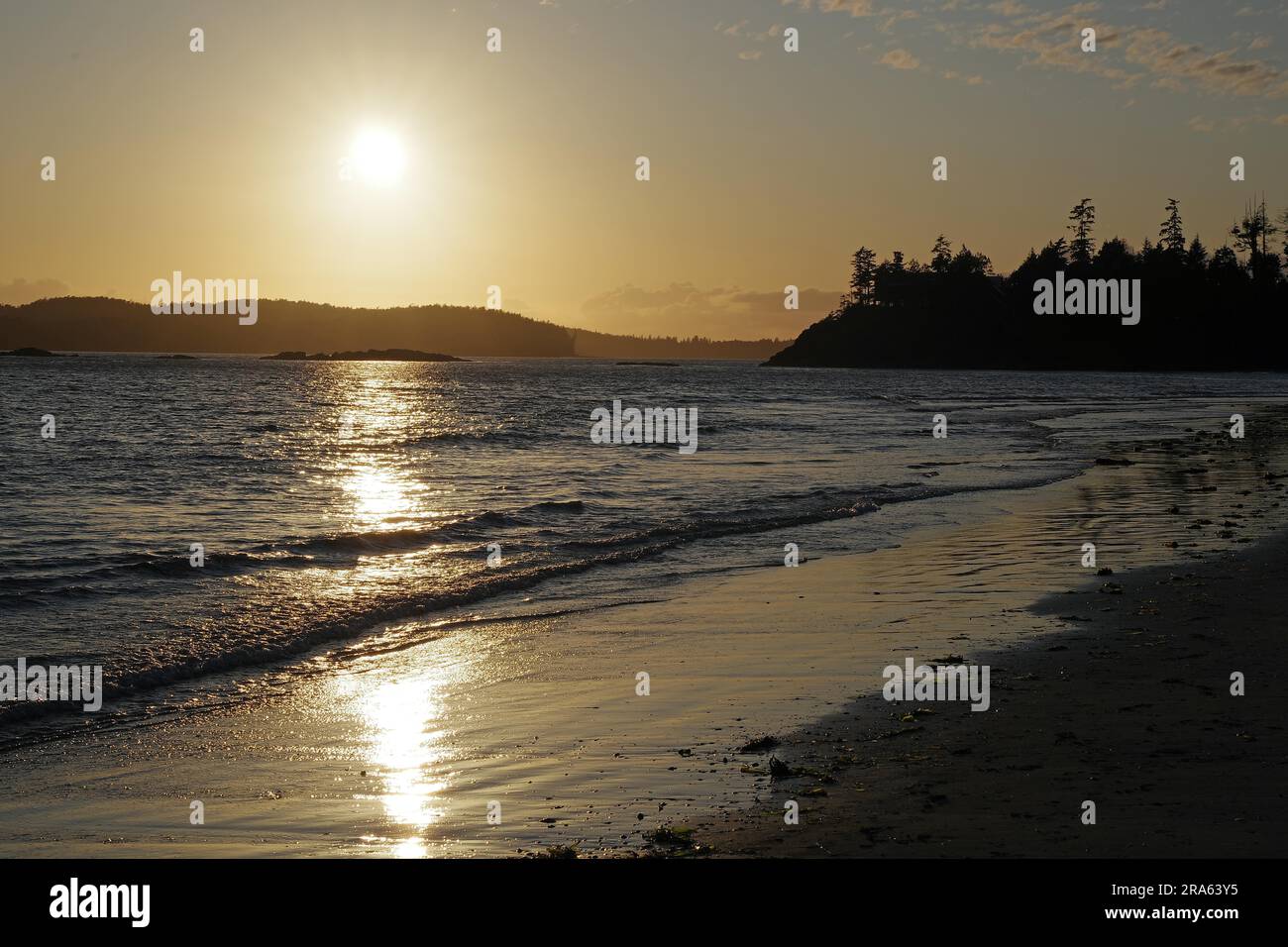 Spiaggia di sabbia deserta al tramonto, foresta, vacanza, Mackenzie Beach, Tofino, Vancouver Island, British Columbia, Canada Foto Stock
