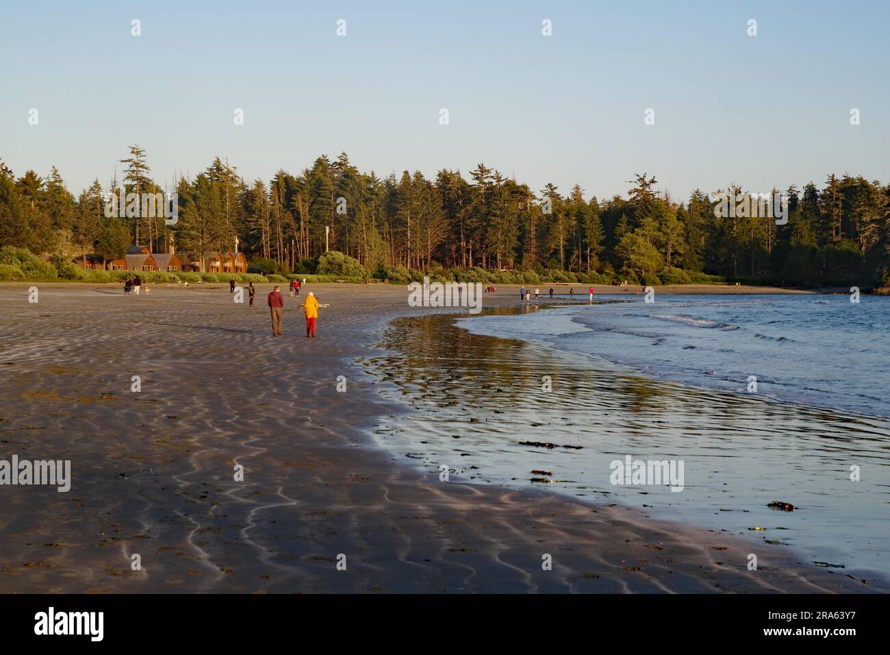 Persone su una lunga spiaggia sabbiosa, foresta e case di legno, vacanze, Mackenzie Beach, Tofino, Vancouver Island, British Columbia, Canada Foto Stock