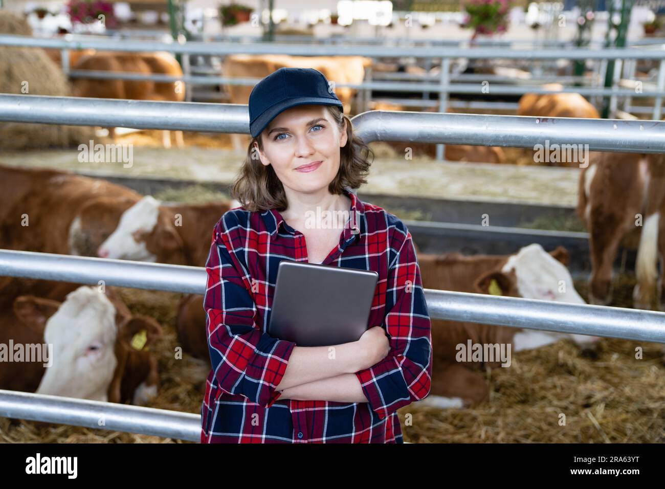 Donna contadina con tablet in una fattoria casearia. Gestione delle mandrie. Foto Stock
