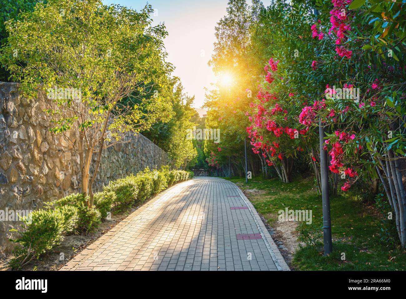 Parco Seminario (Parque del Seminario) - Jaen, Spagna Foto Stock