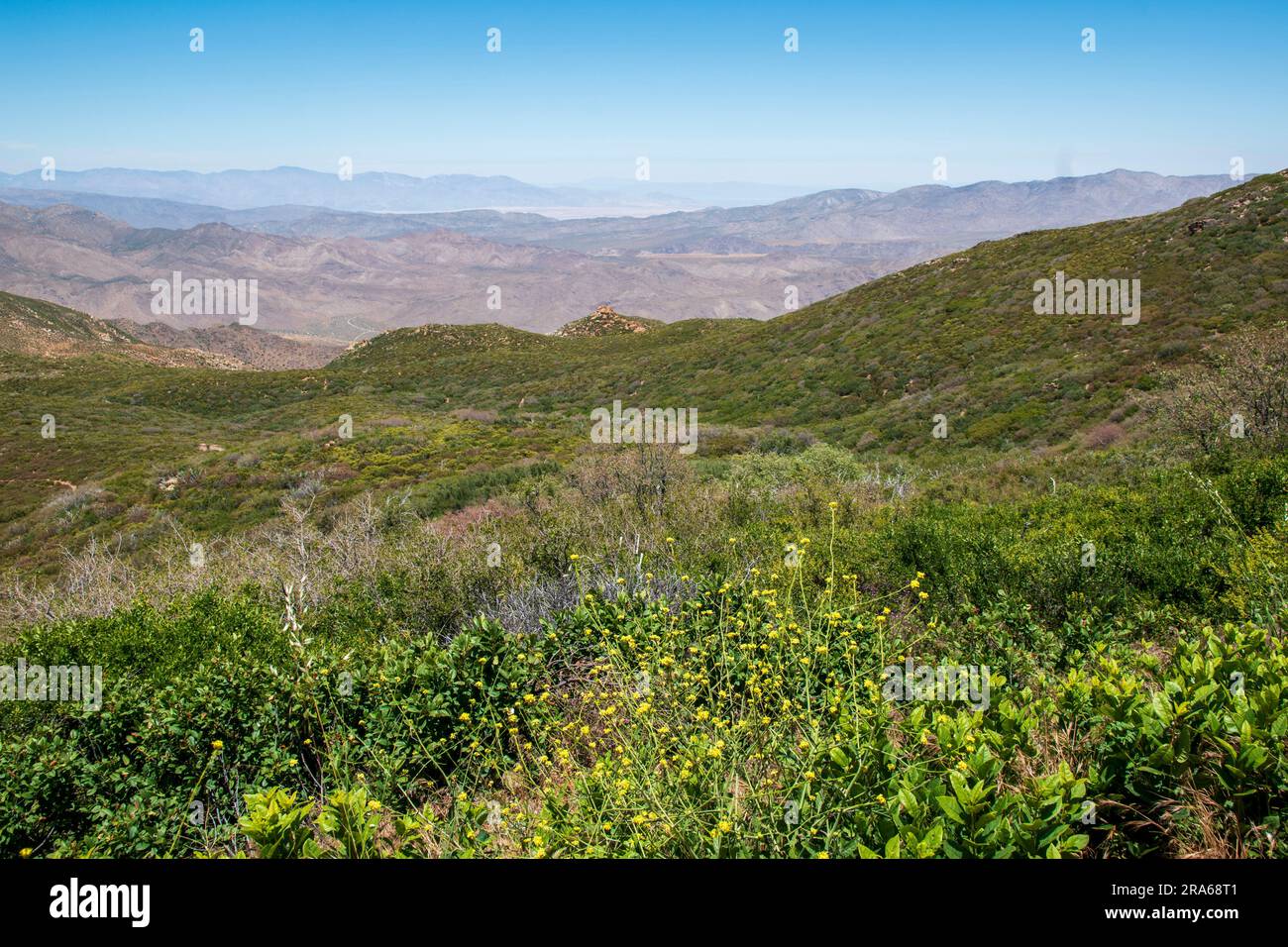 La Sunrise Highway nella contea di San Diego è una National Scenic Byway che si affaccia sull'Anza Borrego State Park e sul Salton Sea nella California meridionale. Foto Stock