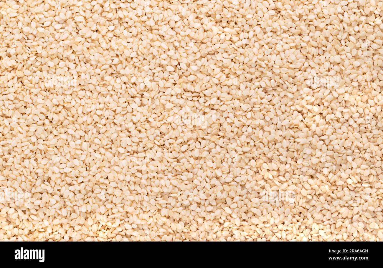Semi di sesamo bianco, in superficie, dall'alto. Sesamum indicum, chiamato anche benne. Ingrediente comune nelle cucine di tutto il mondo, con sapore di nocciola. Foto Stock