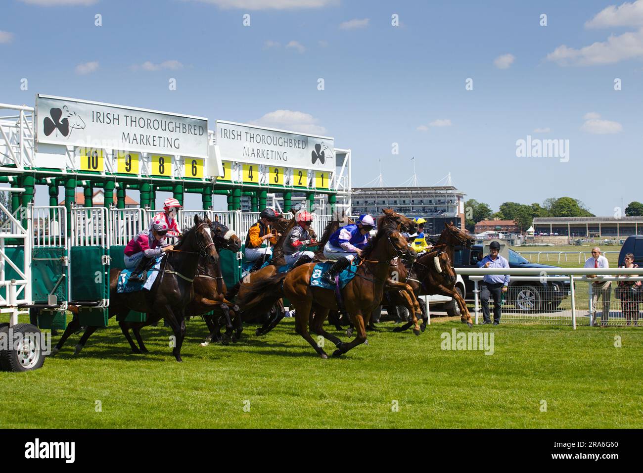 Una sequenza di cavalli che galoppano dalle porte di partenza all'ippodromo di York. Foto Stock