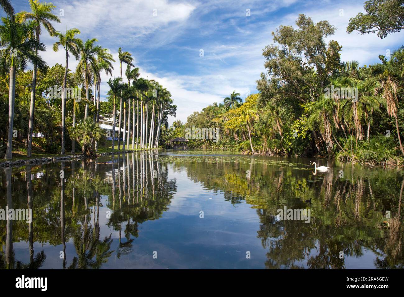 Fort Lauderdale, Florida, USA. Ammira la tranquilla Bonnet House Slough, un lago nei giardini della storica Bonnet House, nota anche come Bartlett Estate. Foto Stock
