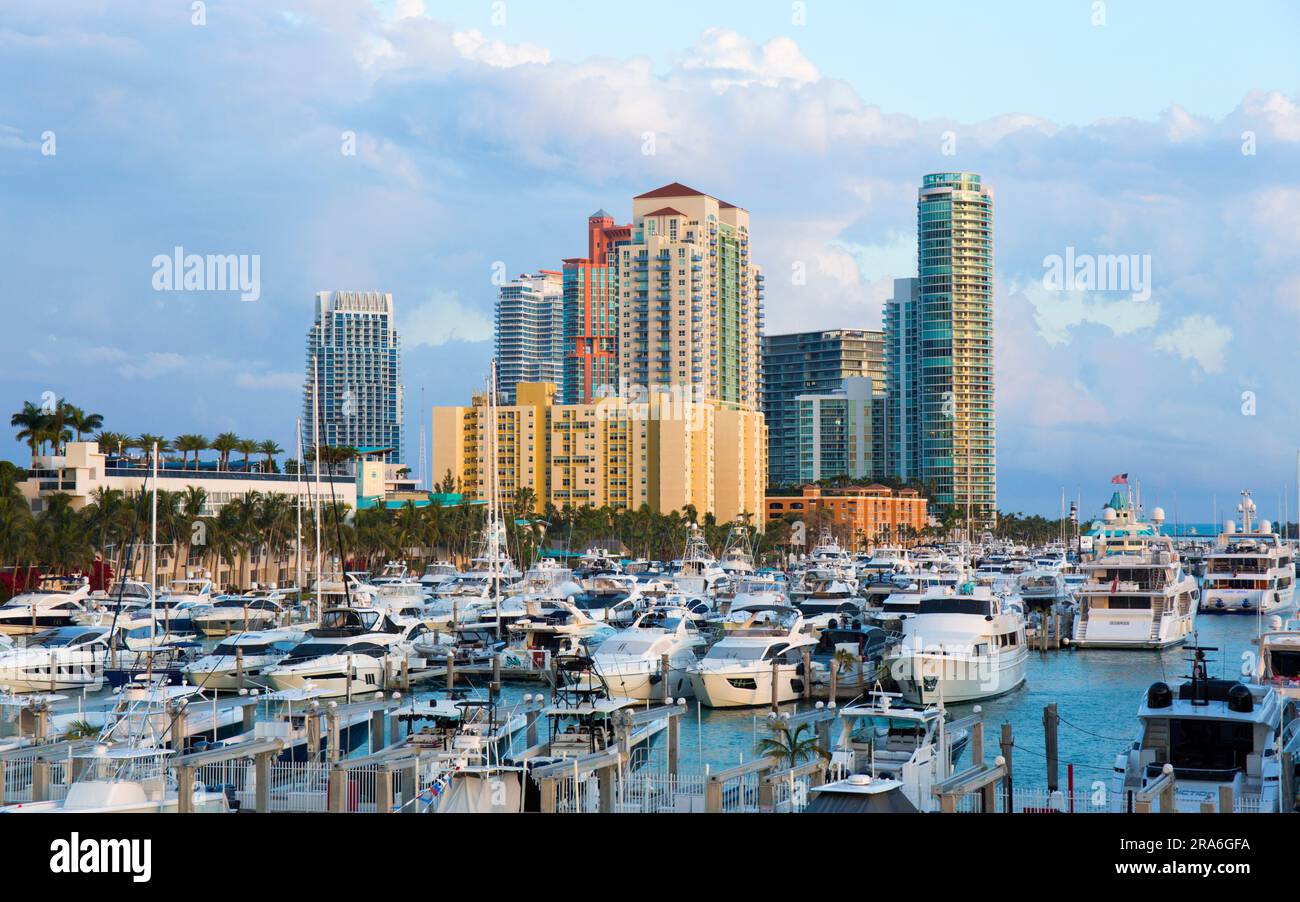 Miami Beach, Florida, USA. Vista sul porticciolo di Miami Beach verso alti condomini affacciati su South Pointe Park, South Beach. Foto Stock