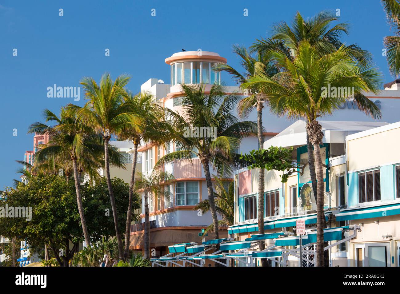 Miami Beach, Florida, USA. Facciate colorate dell'hotel e torreggianti palme, Ocean Drive, Miami Beach Architectural District, South Beach. Foto Stock