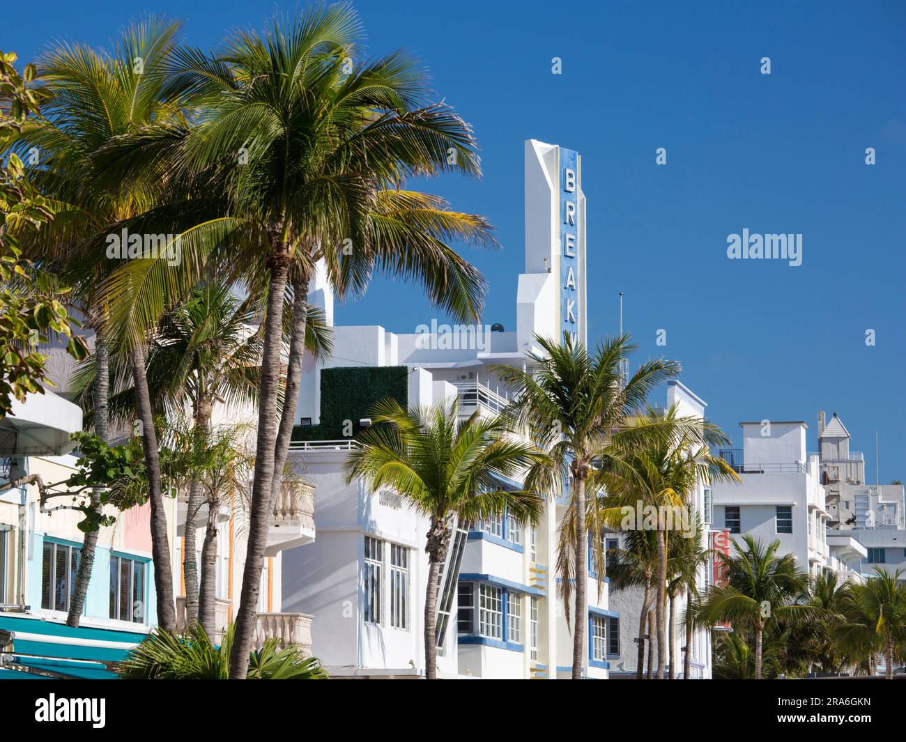 Miami Beach, Florida, USA. Facciate dell'hotel e torreggianti palme, Ocean Drive, Miami Beach Architectural District, South Beach. Foto Stock