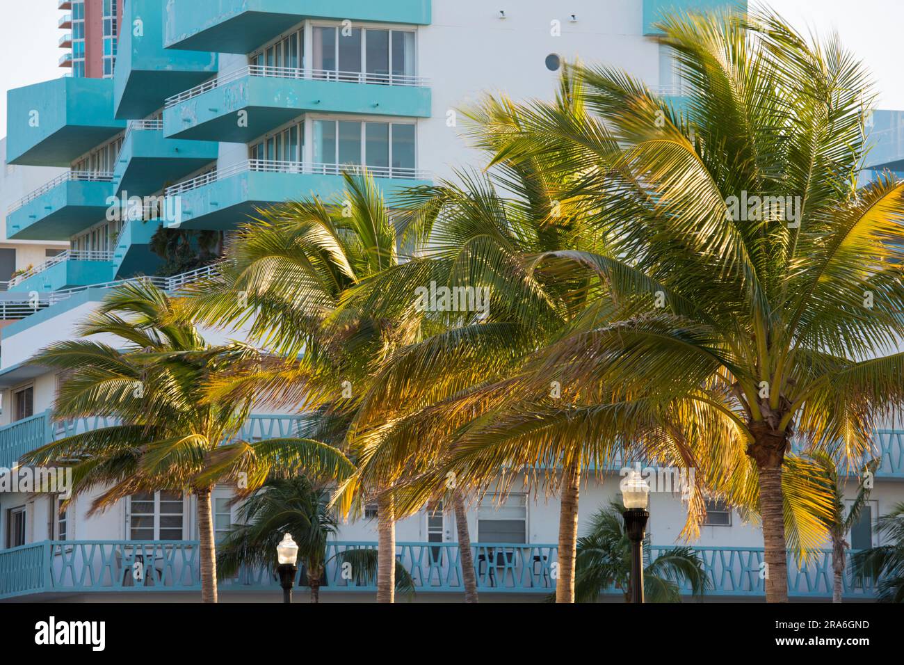 Miami Beach, Florida, USA. Tipiche palme di fronte a Ocean Place, un accattivante complesso condominiale SoFi, Ocean Drive, South Beach. Foto Stock